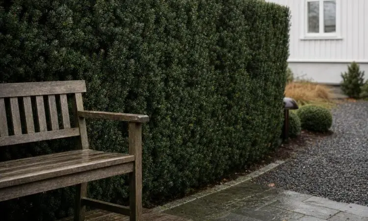 Hvorfor tiden er den hårdeste prøve for udendørsområder