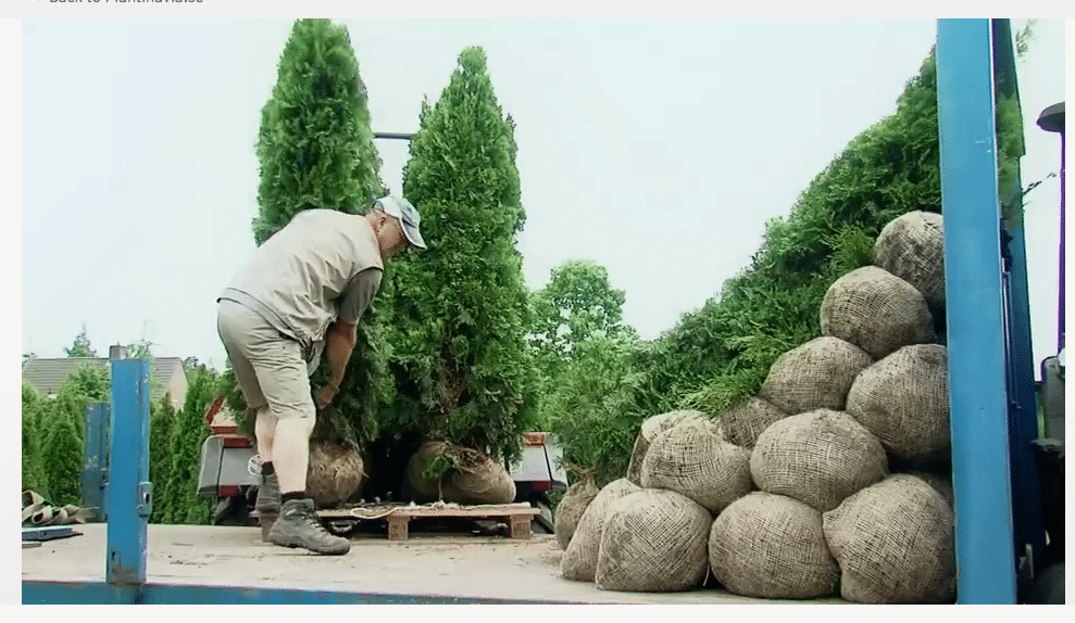 transport-plantinavia