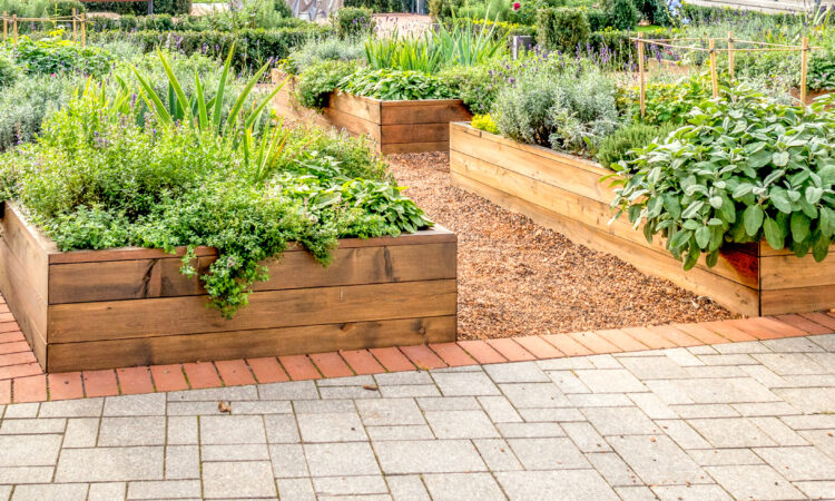 Nærbillede af højbed med træplanker og røde blomster