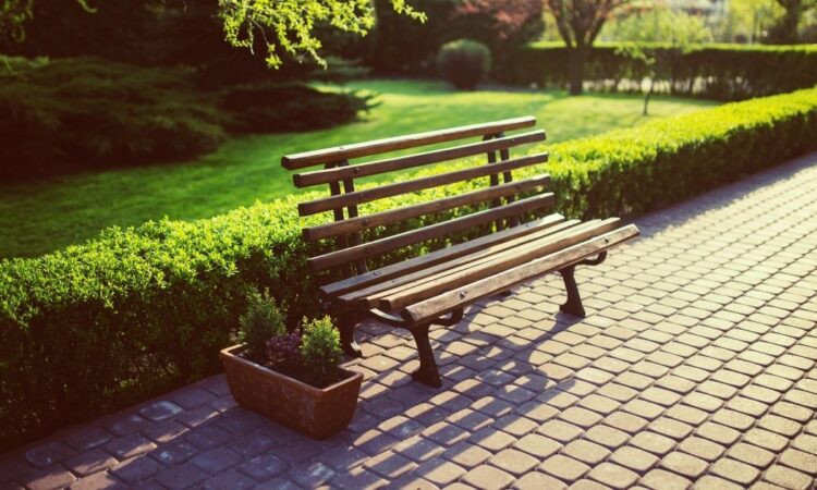 Halvskygge vs fuld skygge