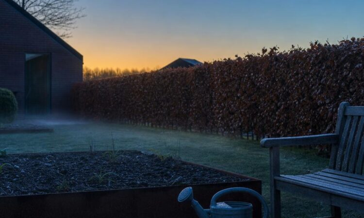 Hvorfor varmen forsvinder, så snart solen går ned