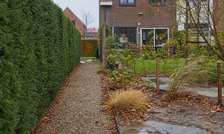 Hvorfor efteråret afslører svagheder i havedesign