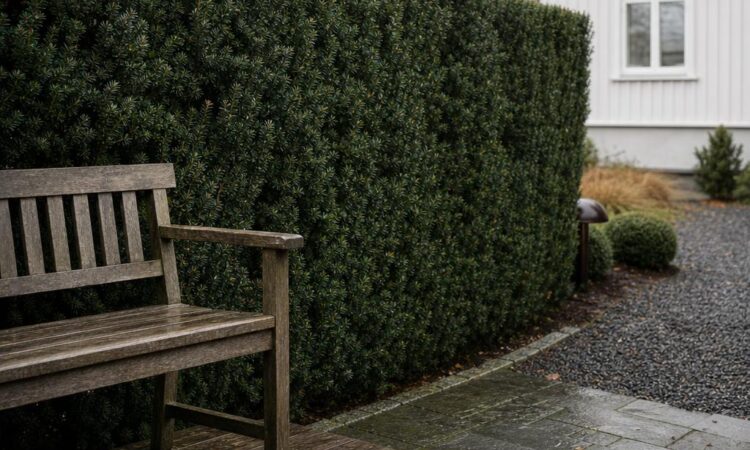Hvorfor tiden er den hårdeste prøve for udendørsområder